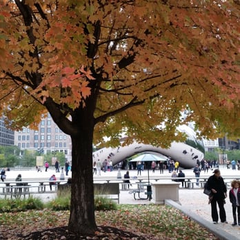 Millennium Park - Parks Near Me - Chicago, Illinois