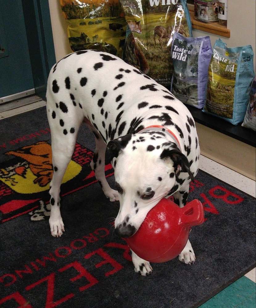 o Jupiter Florida Real Estate For Sale