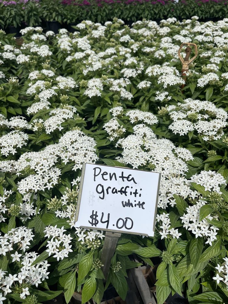 THE BUSHEL STOP Nurseries & Gardening 17961 103rd Ter N, Jupiter