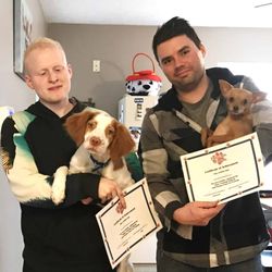 Positive Paws Pet Training - Twinkie and Oliver did great in their training program.  They now like to play together!