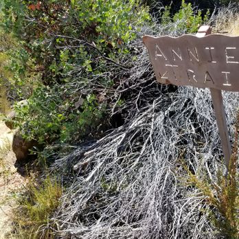 Stebbins Cold Canyon Loop Trail - Annie's Trail at the 1 mi mark - Hiking Near Me - Winters, California