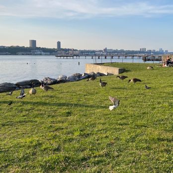 Riverside Park Pier 1 - Parks Near Me - New York, New York Riverside Park Pier 1 - Parks Near Me - New York, New York