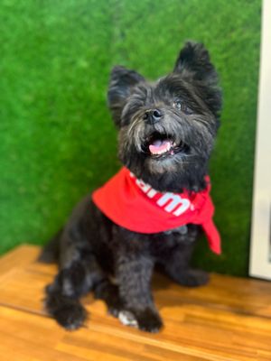 John Patterson-State Farm Insurance Agent