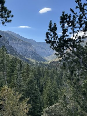 Mount Charleston Cabins by null
