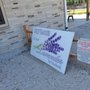 Photo of Driftwood Lavender