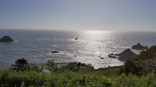 Emerald Forest Of Trinidad Cabins Trinidad Ca California Beaches
