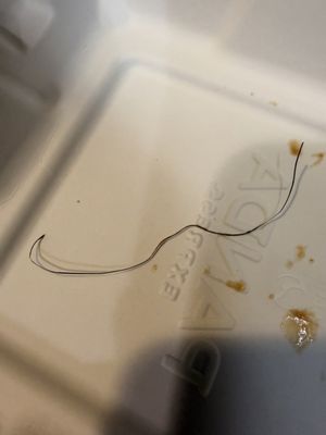 Panda Express by null