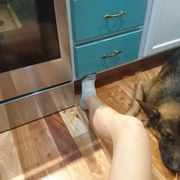 Velcro dog - he's never far from us, ready to offer assistance whenever required. Such an amazing dog, thanks to incredible training!