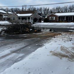 Mikes Tree Services - This is the mess he left in my driveway