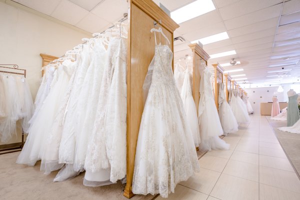 Lily's Bridal by null