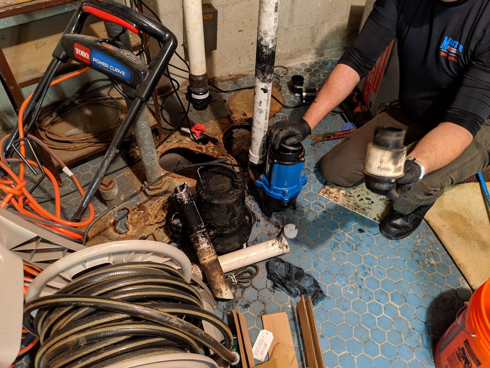 Slide of Master Rooter