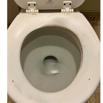 Jailhouse Motel and Casino - finish coming off toilet seat - Hotels Near Me - Ely, Nevada