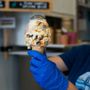 Photo of Willard Scoops