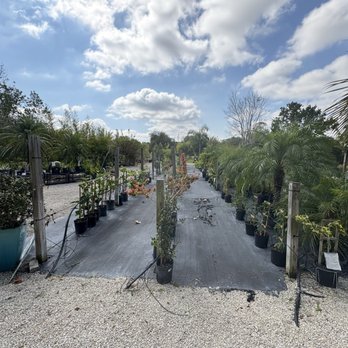 Riverland Nursery - Nurseries & Gardening Near Me - Fort Myers, Florida