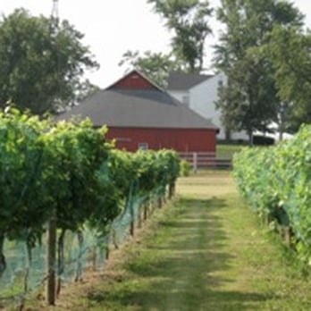 Ardon Creek Vineyard & Winery - Ardon Creek is located in the rolling hills of the "76" Township outside of Muscatine, Iowa - Wineries Near Me - Letts, Iowa Ardon Creek Vineyard & Winery - Ardon Creek is located in the rolling hills of the "76" Township outside of Muscatine, Iowa - Wineries Near Me - Letts, Iowa