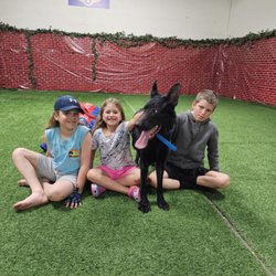 Miami Dog Training