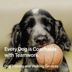 Coachable Canines