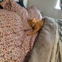 Cove Animal Rescue