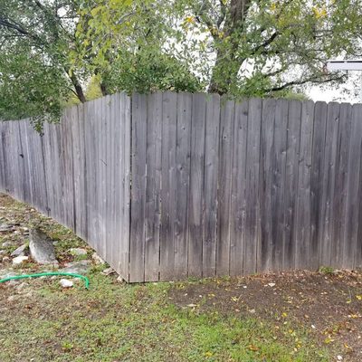 Fence staining job. - Cleaning of 350 L/F of fence then staining it with 2 coats of premium stain. Job was completed in 2 days. Fence staining job. - Cleaning of 350 L/F of fence then staining it with 2 coats of premium stain. Job was completed in 2 days.