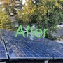ARL Solar Care And Pressure Washing Service