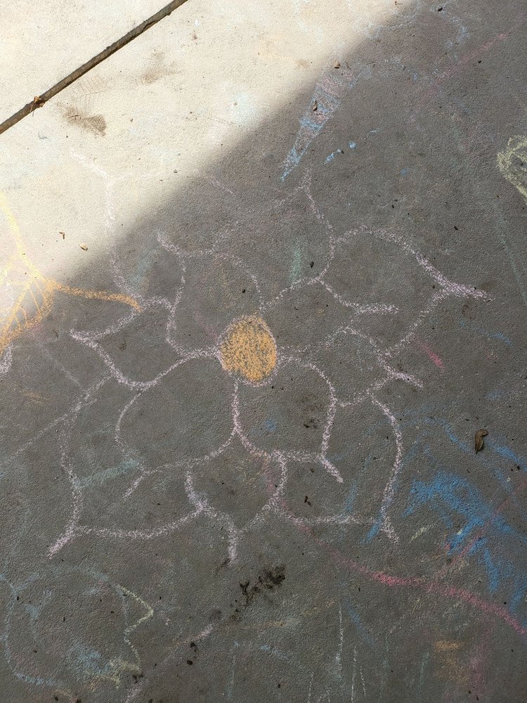 Julington Creek Plantation - social services organization in Jacksonville, FL