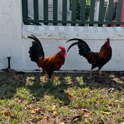 Key West Lighthouse & Keeper's Quarters Museum