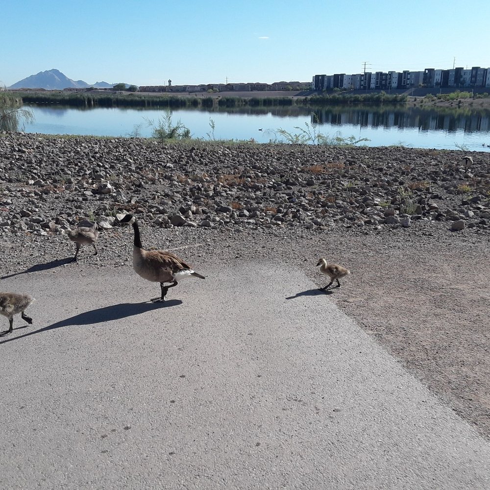 Cornerstone Park - Lakes Near Me - Henderson, Nevada