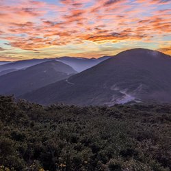 Craggy Pinnacle Trail - Instagram: @telephonesmoothie