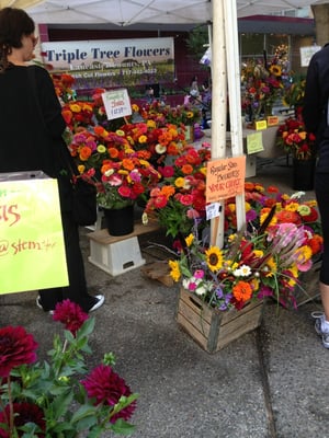 Rittenhouse Farmers' Market by null