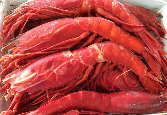 OCEAN SEAFOOD DEPOT INC Wholesale by null