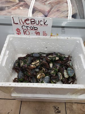 Little Guyana Bake Shop by null