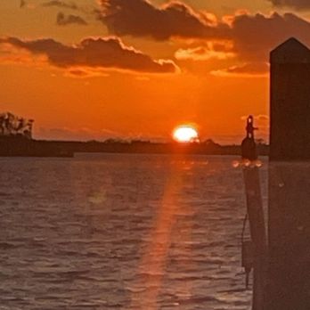 Bon Appetit - Sunset dining - New American Near Me - Dunedin, Florida Bon Appetit - Sunset dining - New American Near Me - Dunedin, Florida