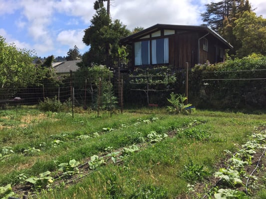 Edible Schoolyard Berkeley by null
