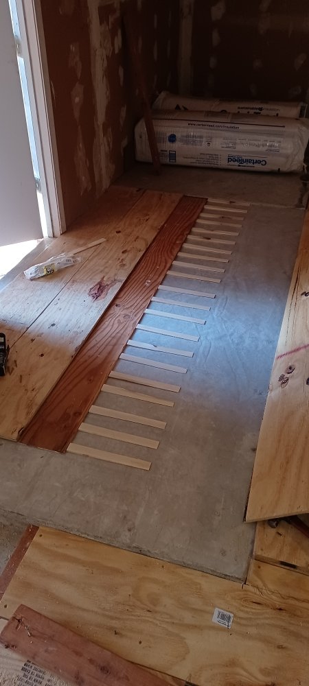 Slide of Brahma Paint and Remodel