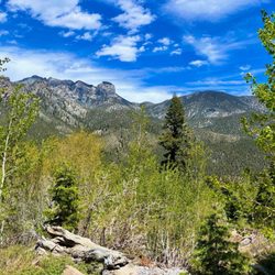 Cathedral Rock