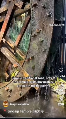 Jindaiji Temple by null