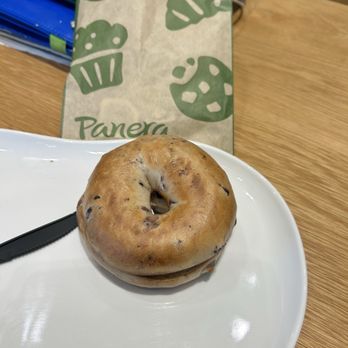 Panera Bread - Bagel --- took me a while to get this! - Salad Near Me - San Antonio, Texas Panera Bread - Bagel --- took me a while to get this! - Salad Near Me - San Antonio, Texas