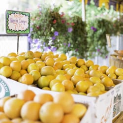 Phoenix Farmers Market