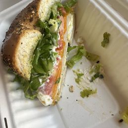 Turkey Bagel Blaster Turkey Bagel Blaster