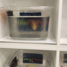 I dont eve want to know how high the ammonia levels are. Who knows how long it's been since they've had a water change.