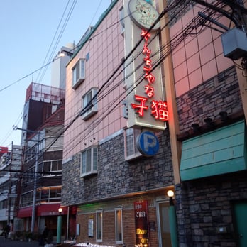 猫乃目様ꗯ̤̮ ぬらりと🍒✨🦊🍁 on X: 