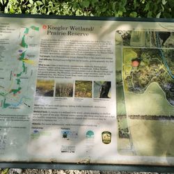 Koogler Wetland Prairie Reserve