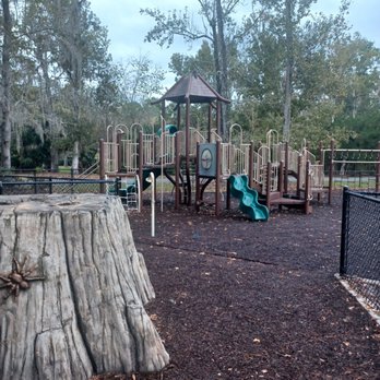 Big Tree Park - Parks Near Me - Longwood, Florida