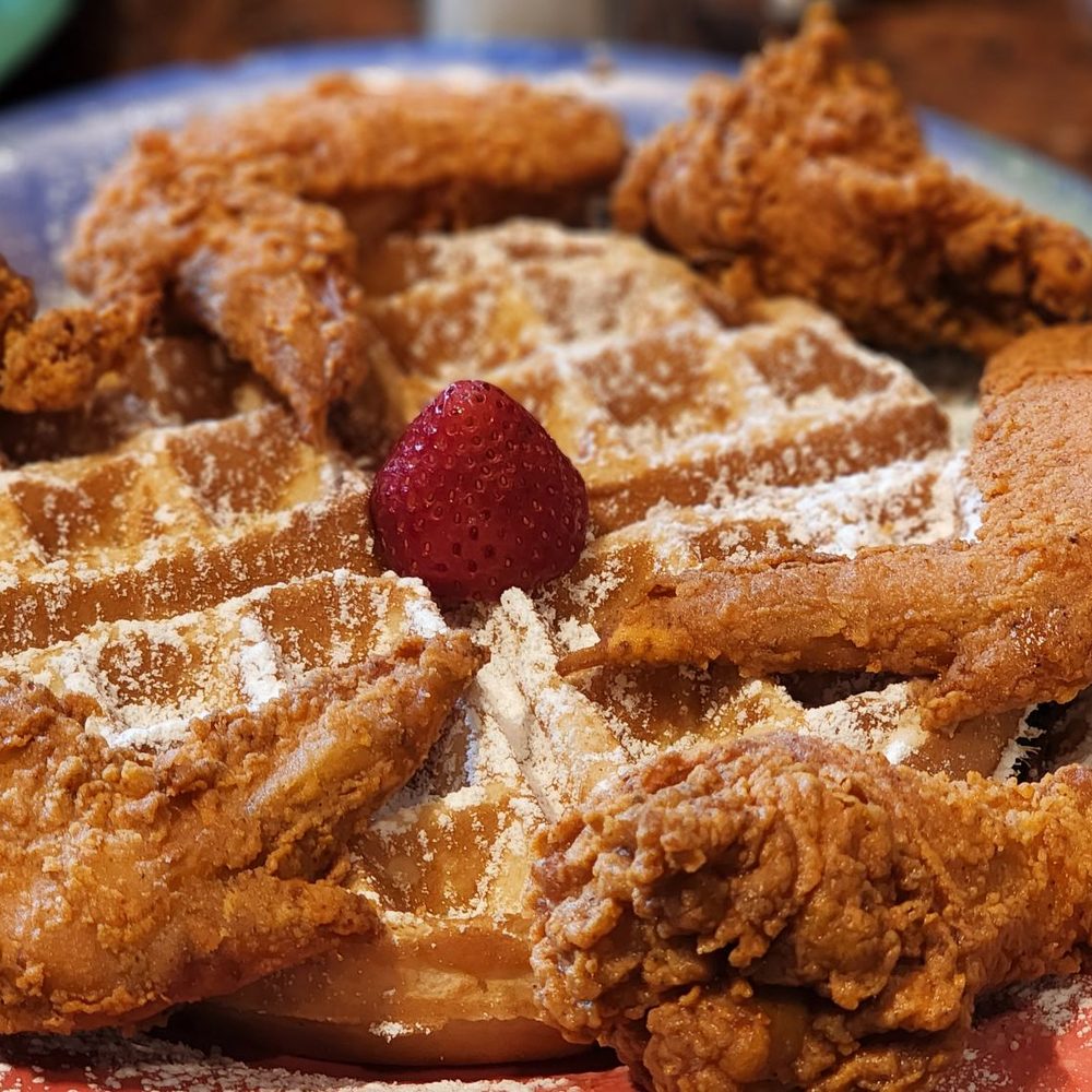 TOP 10 BEST Morning Glory Farm Fresh Cafe in Houston, TX - Updated 2026 -  Yelp