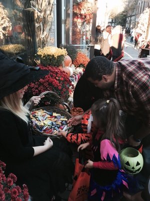 The Coven's Cottage by null