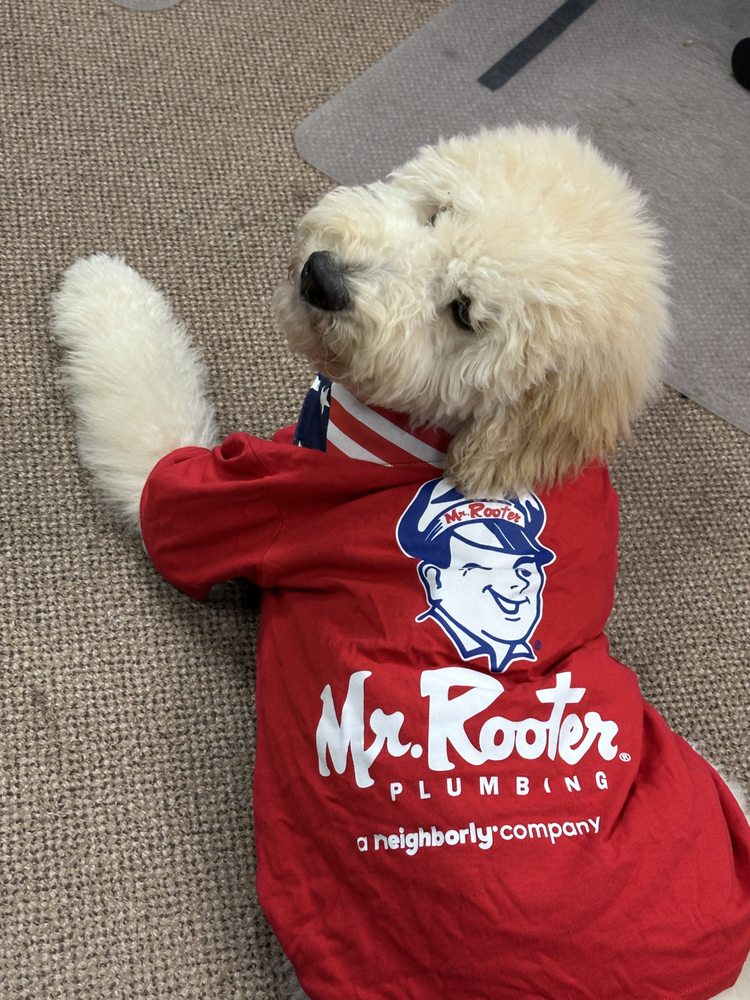 Slide of Mr. Rooter Plumbing of Rochester-MN