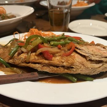 The Blue Elephant Trail - Whole snapper - Thai Near Me - West Hartford, Connecticut The Blue Elephant Trail - Whole snapper - Thai Near Me - West Hartford, Connecticut