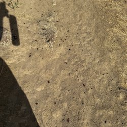 Potholes State Park - Glass was everywhere on the beach sands and rocks