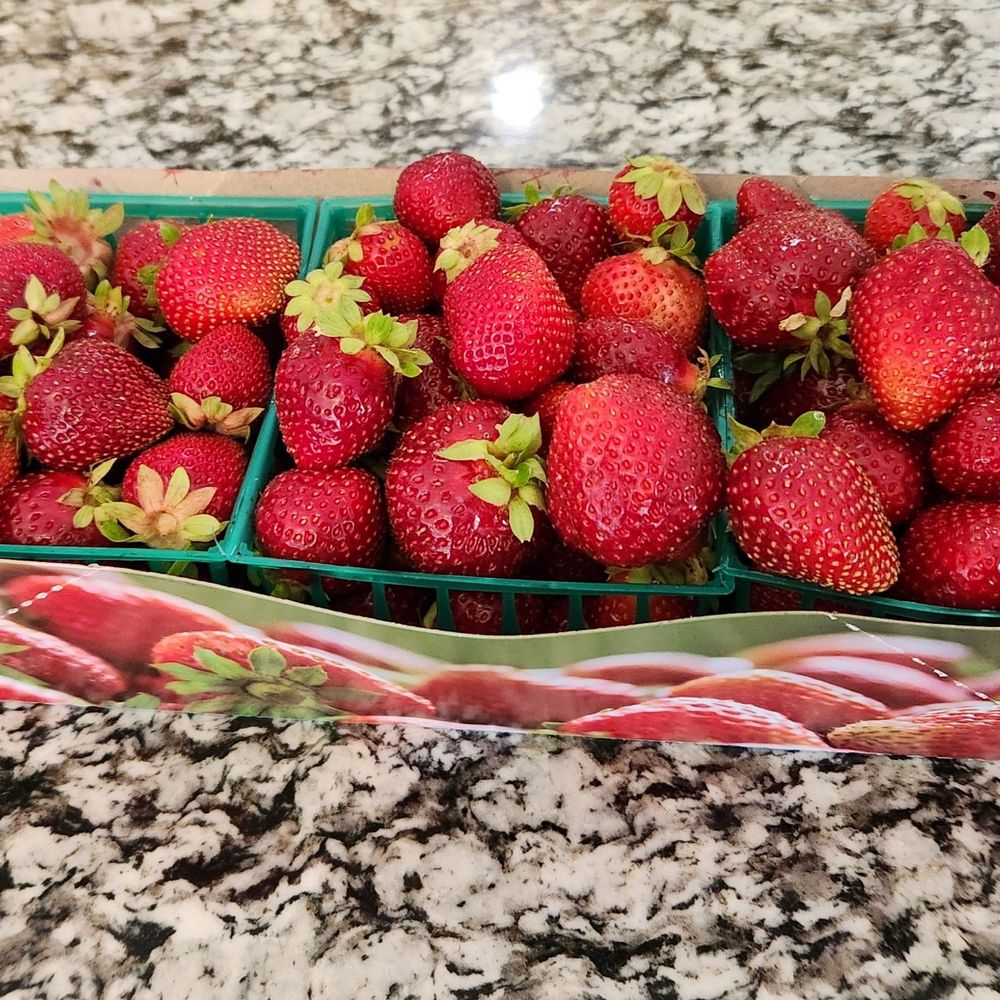 Saeng's Strawberry Stand - 3lbs for $14 (June 2025)... the 4lb ones were $17 - Fruits & Veggies Near Me - Granite Bay, California Saeng's Strawberry Stand - 3lbs for $14 (June 2025)... the 4lb ones were $17 - Fruits & Veggies Near Me - Granite Bay, California