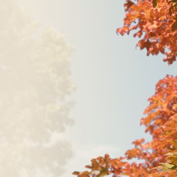 Forum Health - Preventive Medicine Near Me - Shelby Township, Michigan Forum Health - Preventive Medicine Near Me - Shelby Township, Michigan